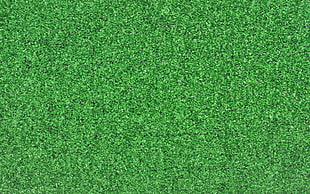 green grass HD wallpaper
