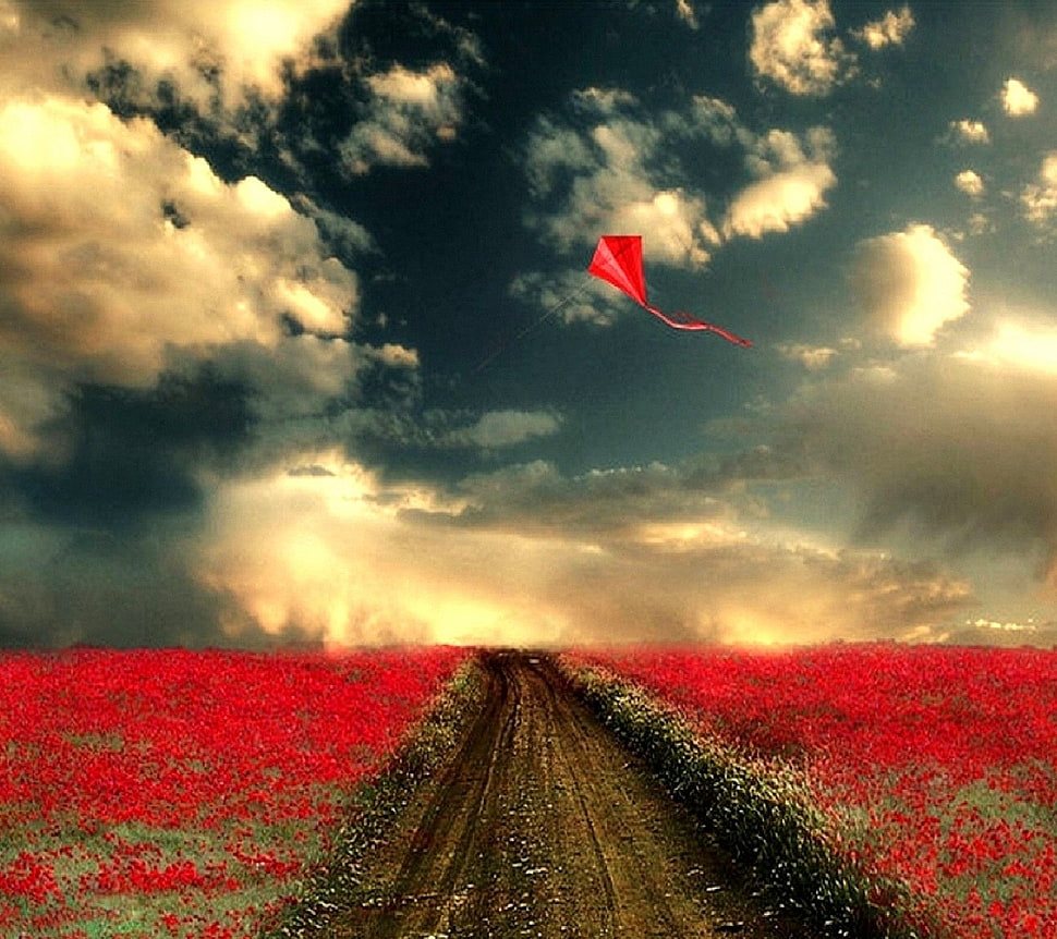 black and red abstract painting, digital art, field, sky, clouds HD wallpaper