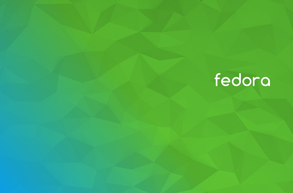 green background with fedora text overlay, Fedora, Linux, GNU, operating systems HD wallpaper