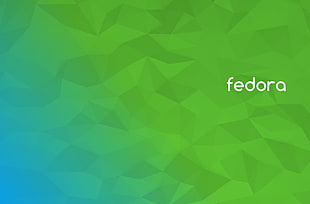 green background with fedora text overlay, Fedora, Linux, GNU, operating systems
