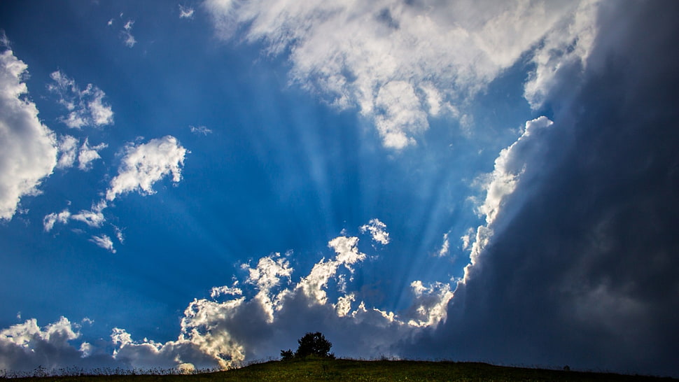white clouds, nature, sky, clouds, sunlight HD wallpaper