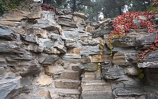 landscape photo of rock cliff HD wallpaper