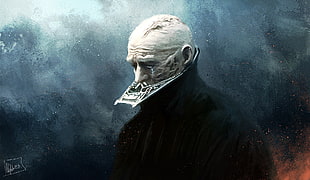video game screenshot, Star Wars, artwork, Darth Vader