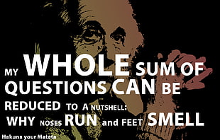 My Whole Sum of Questions can be reduced to a nutshell: why noses run and feet smell text, Albert Einstein, Smart HD wallpaper