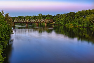 body of water surrounded with green trees with bridge