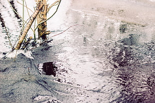 brown tree log, spring, water, ice, Russia HD wallpaper