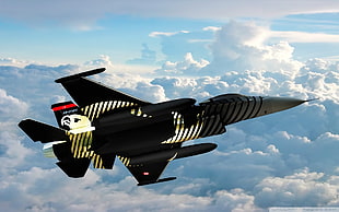 black jet, Turkey, SoloTurk, General Dynamics F-16 Fighting Falcon, military aircraft