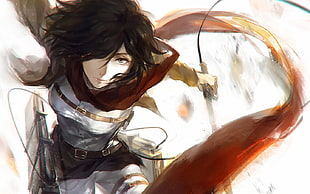 Mikasa from Attack on Titan, Shingeki no Kyojin, Mikasa Ackerman HD wallpaper