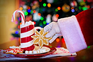 Santa Claus taking cookie from plate