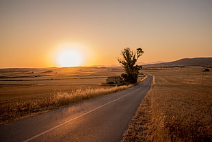 Road with grass field during sunset