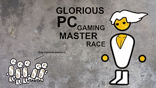 glorious PC gaming master race digital wallpaper, PC Master  Race