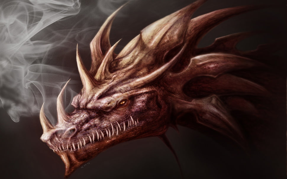 dragon head wallpaper, dragon HD wallpaper