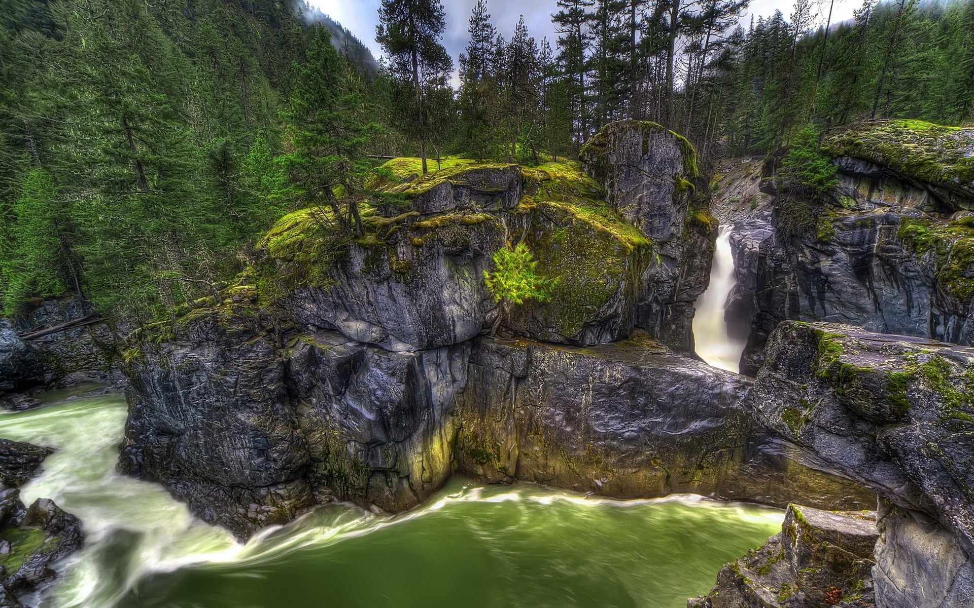 Waterfalls Waterfall Nature Landscape River Hd Wallpaper