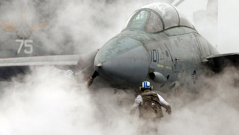 gray fighter plane, F-14 Tomcat, smoke, military aircraft, military HD wallpaper