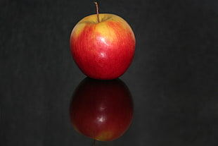 red and yellow apple photography HD wallpaper