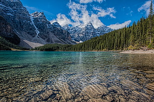 National Park, Louise, Lake, Mountains HD wallpaper