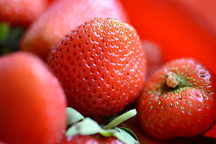 shallow focus photography red strawberries