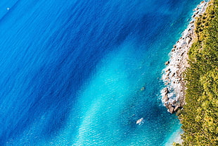 aerial photography of beach, sea, blue, water, beach HD wallpaper