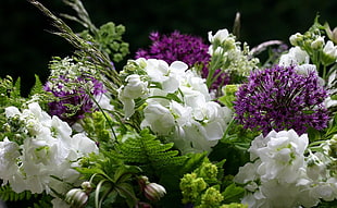 white and purple assorted flowers