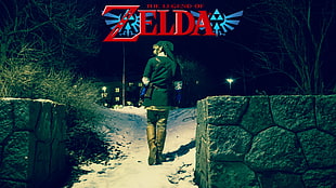 The Legend of Zelda Link cosplay, Link, video games, Nintendo, photography