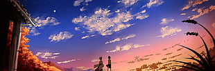 Your Name anime poster, clouds, sky, sunset, fantasy art
