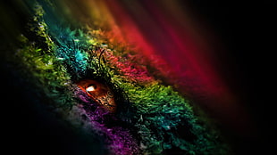 green and multicolored textile, eyes HD wallpaper