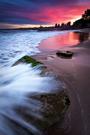 brown sand seashore photography, cronulla HD wallpaper