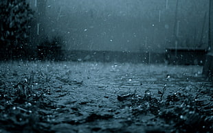 photo of rain drops at nighttime HD wallpaper