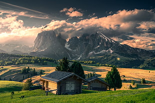 brown wooden house, nature, landscape, Italy, house