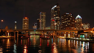 landscape photo of bridge near high-rise and low-rise buidlings during nightime