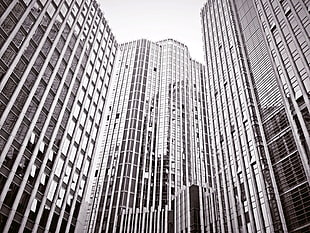 three gray tall buildings HD wallpaper