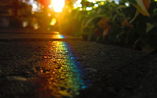bokeh photography of rainbow light