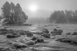 grayscale photo of river