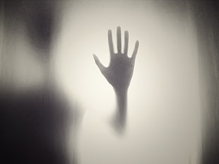 silhouette of person's hand on glass