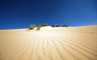 desert sand, desert, sand, landscape HD wallpaper