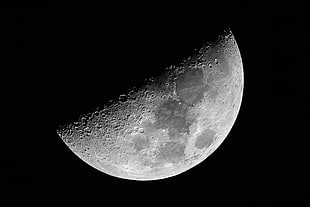 shallow photography of Moon