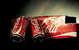 two Coca-Cola cans, brand, Coca-Cola