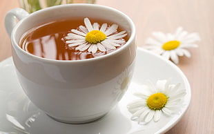 white daisies and ceramic teacup HD wallpaper