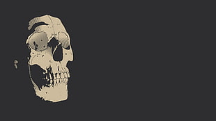 skull photo, skull, simple background, minimalism HD wallpaper