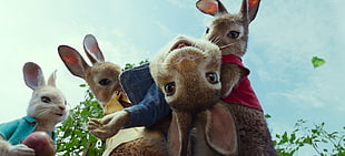 group of dressed rabbits near green leaf plant photo HD wallpaper