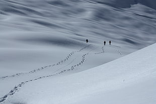 three people walking along snow-covered field HD wallpaper