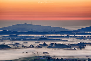 areal view photo of city surrounded with mist during sunrise