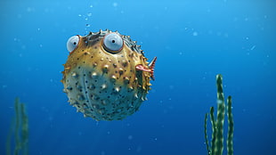 puffer fish digital painting, drawing, digital art, Corky the Blowfish