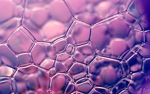purple ball, macro, bubbles, soap, abstract HD wallpaper