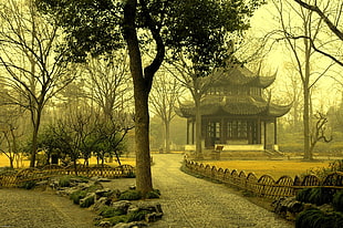 brown Temple in the middle of the trees near road during daytime HD wallpaper
