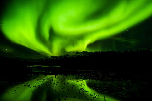 green aurora borealis HD wallpaper