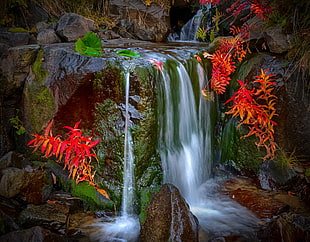 clear waterfalls, waterfall, nature, colorful, leaves