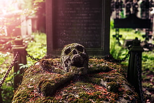 skull and tomb, graveyards, grave, skull HD wallpaper