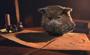 brown owl chick, fantasy art, owl, map, candles