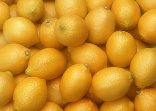 close-up photography of bunch of Lemon fruits